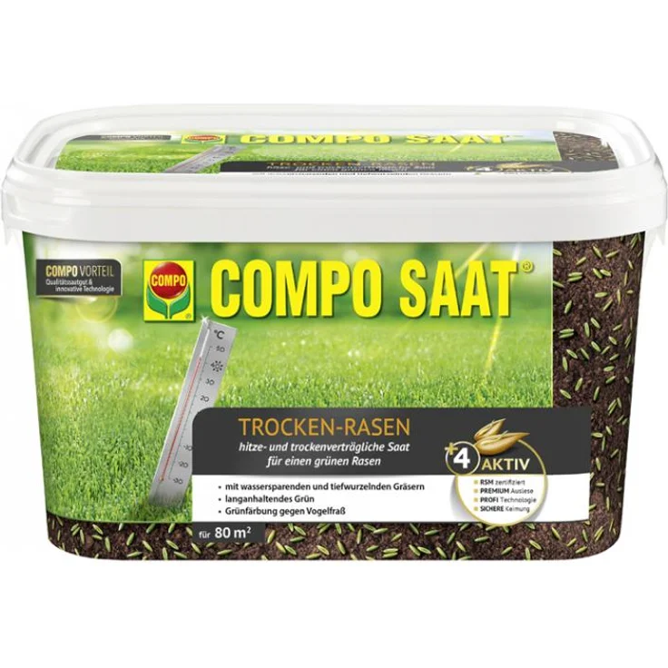 COMPO SAAT Trocken-Rasen, 2 kg für 80 qm – Bild 1