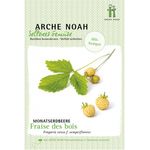 Arche Noah Bio-Saatgut Monatserdbeere Fraise des Bois