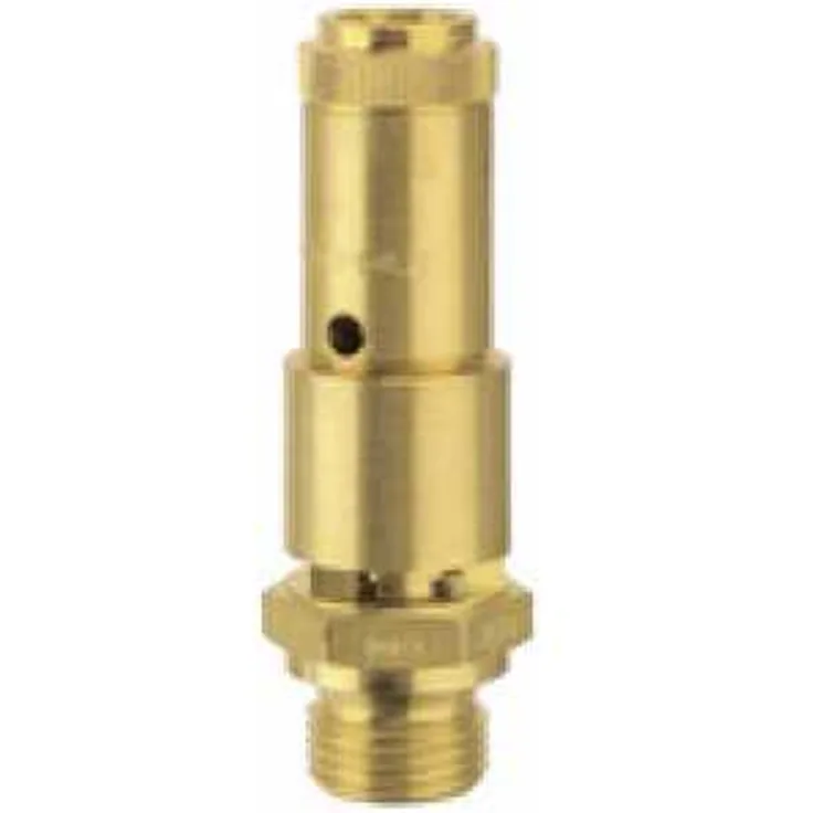 Riegler Sicherheitsventil DN 10, Messing, G 3-4 Ansprechdruck 13,5 bar