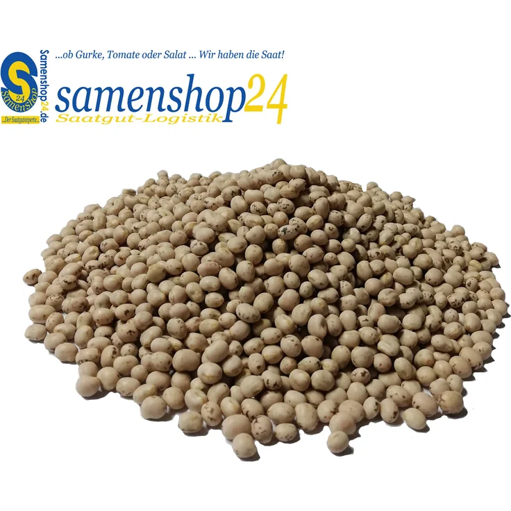 Samenshop24 Düngelupinen Blaue Süßlupinen Gründünger & Bodenkur 2,5kg – Bild 1