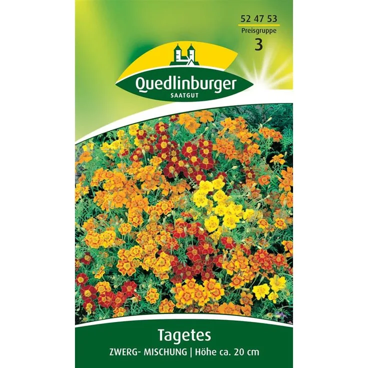QUEDLINBURGER Studentenblume, Zwerg-Mischung