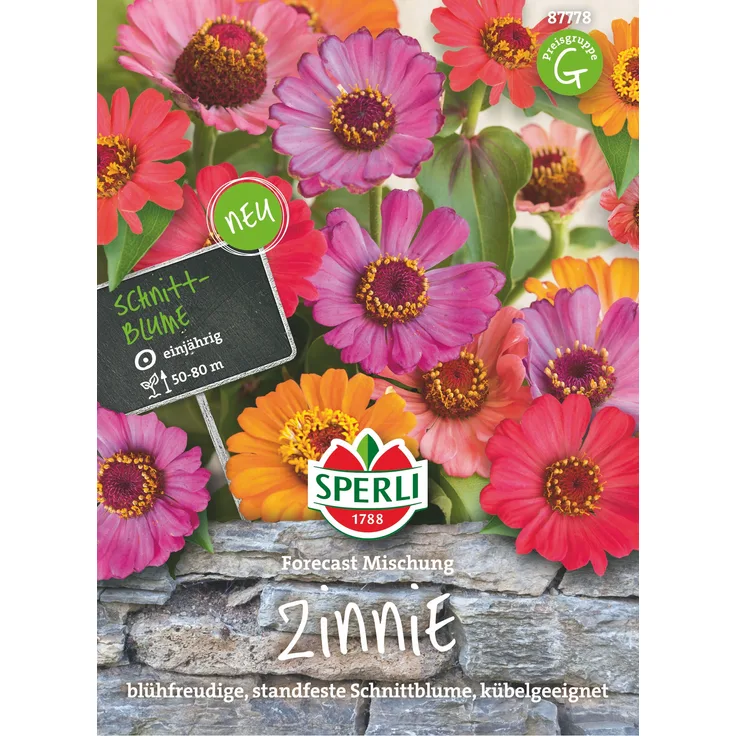 Sperli Zinnie Forecas, blühfreudige standfeste Schnittblume Kübelgeeignet