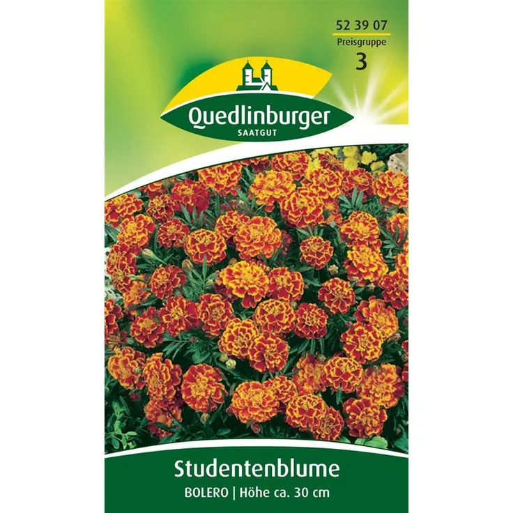 QUEDLINBURGER Studentenblume, Bolero