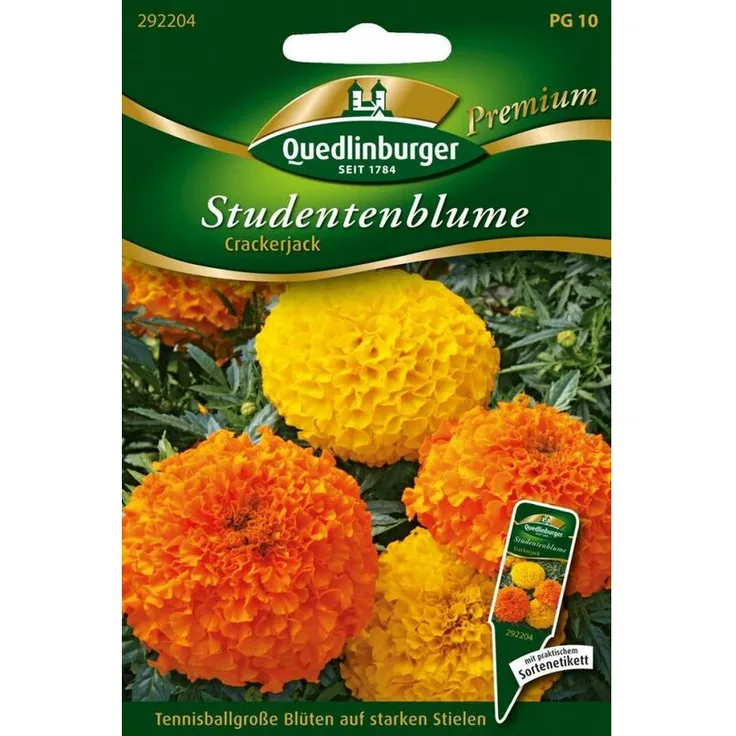 QUEDLINBURGER SAATGUT Quedlinburger Saatgut - Studentenblumen Crackerjack Studentenblumensamen