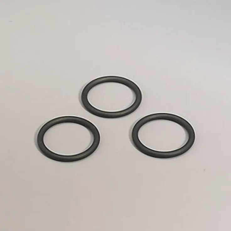 Gloria O-Ring für Pumpe (706460.0000)