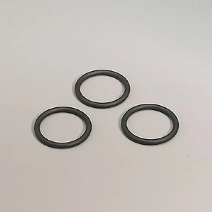 Gloria O-Ring für Pumpe (706460.0000)