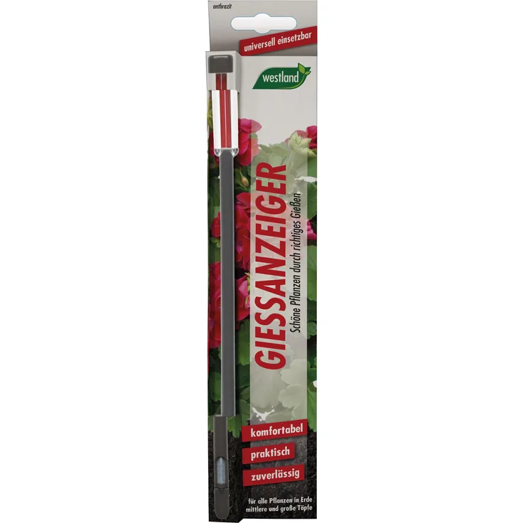 WESTLAND Gießanzeiger für Blumenerde, 26 cm anthrazit