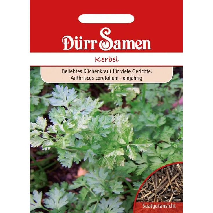 DÜRR-SAMEN Kerbel | Kerbelsamen 