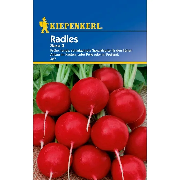 KIEPENKERL Radies Saxa 3 Radieschensamen 