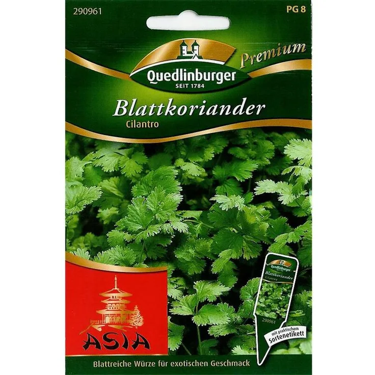 QUEDLINBURGER Blattkoriander, Cilantro