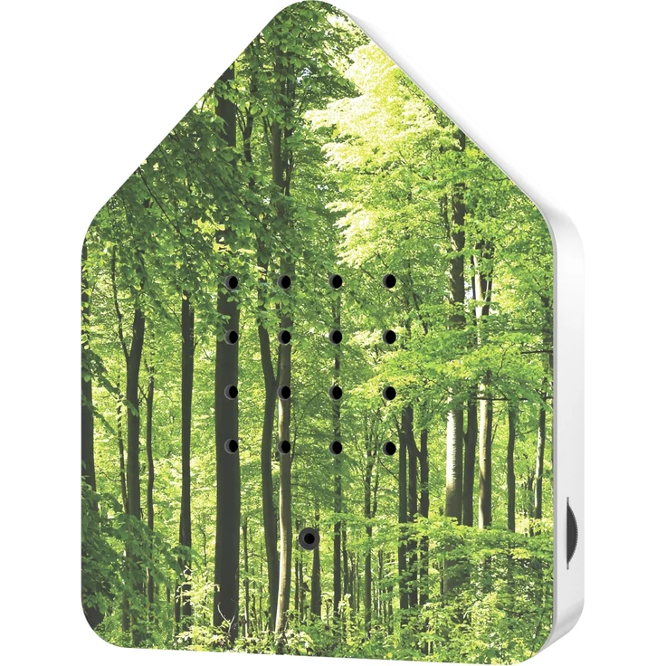 Zwitscherbox UV Print Wald grün – Bild 1
