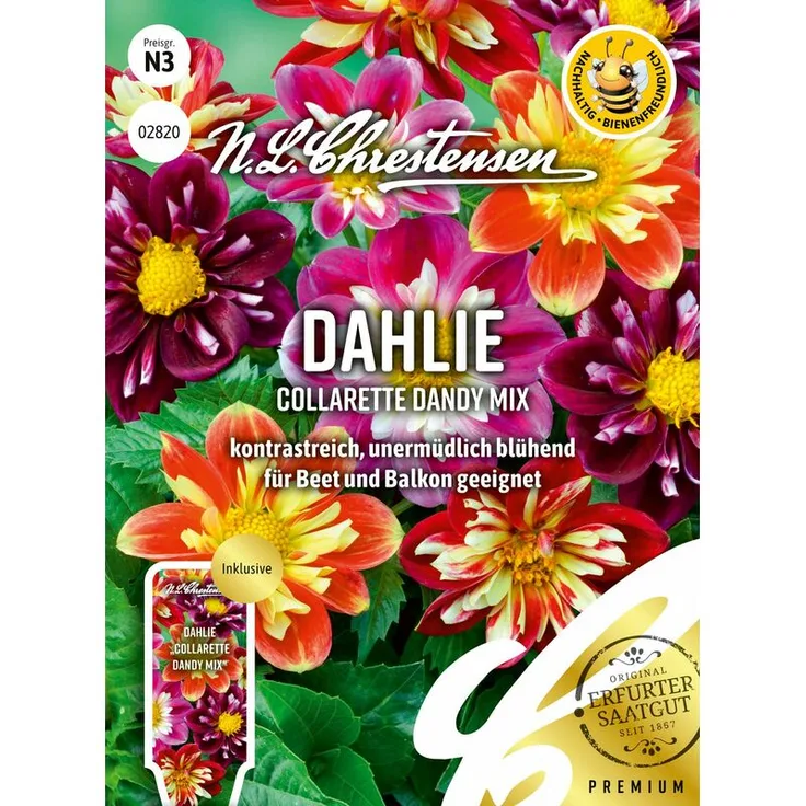 N.L. CHRESTENSEN Dahlien Collarette Dandy Mix | Dahliensamen 