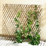 Rankhilfe Weide Rankgitter Ausziehbar 120x80 cm