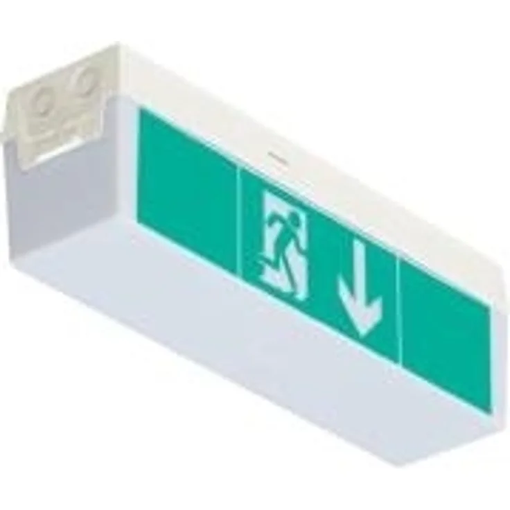 B-SAFETY Notleuchte C-LUX STANDARD, Wand-, Deckenaufbau BR 565 030