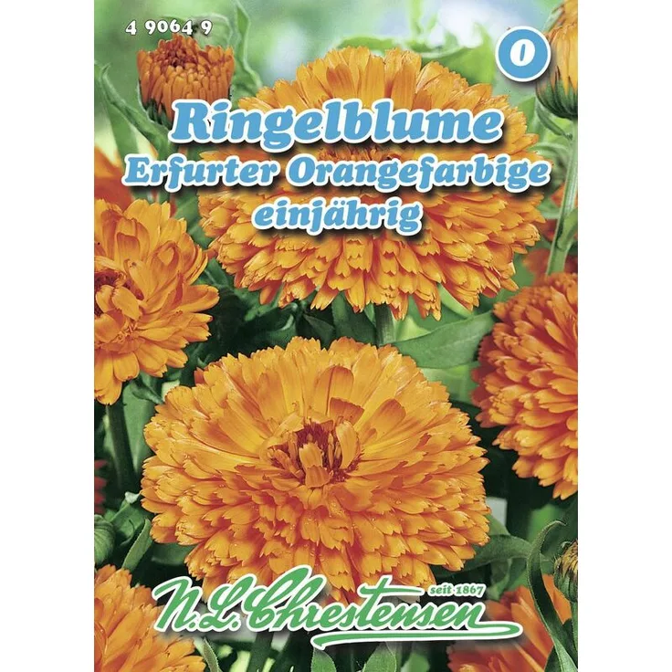 N.L. CHRESTENSEN Ringelblume Erfurter Orangefarbige Ringelblumensamen 