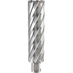 Ruko HSS Kernbohrer mit 3-4'' Weldon-Schaft, CBN geschliffen, TiAlN Finish, Durchmesser 24,0 mm, Länge 145,0 mm, R1082024F