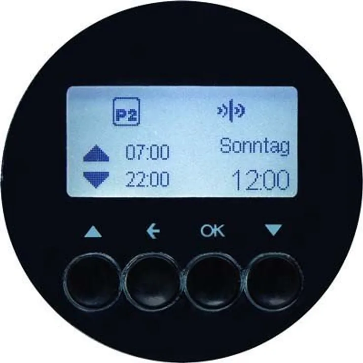 Hager Jalousie-Zeitschaltuhr am R1 Schwarz