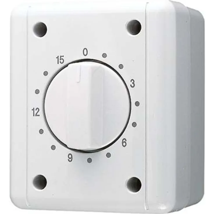 Jung Schaltuhr 8015 W 