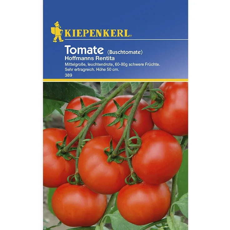 Kiepenkerl Tomate Buschtomate Hoffmanns Rentita