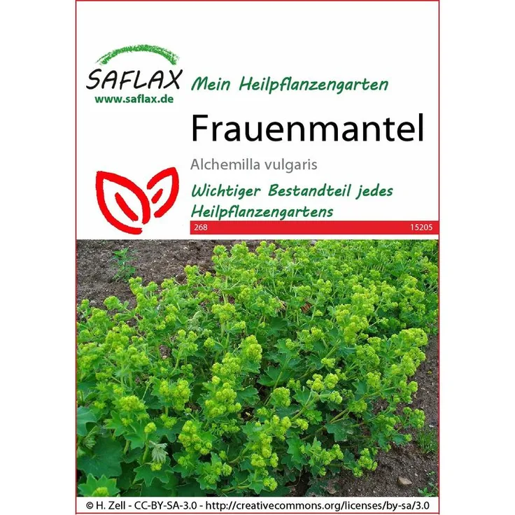 SAFLAX Frauenmantel | Heilpflanzensamen von Saflax