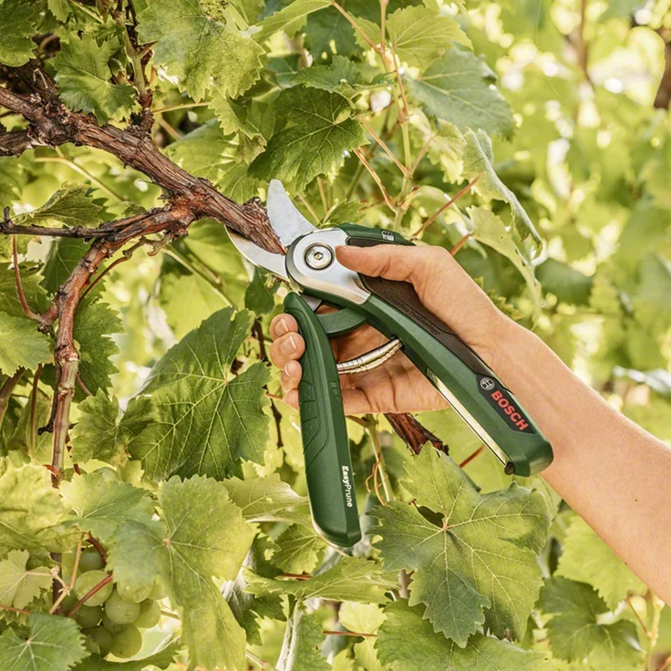 Bosch EasyPrune elektrische Gartenschere (integrierter 3,6 Volt Akku, 450 Schnitte-Akkuladung, in Blisterpackung) – Bild 2