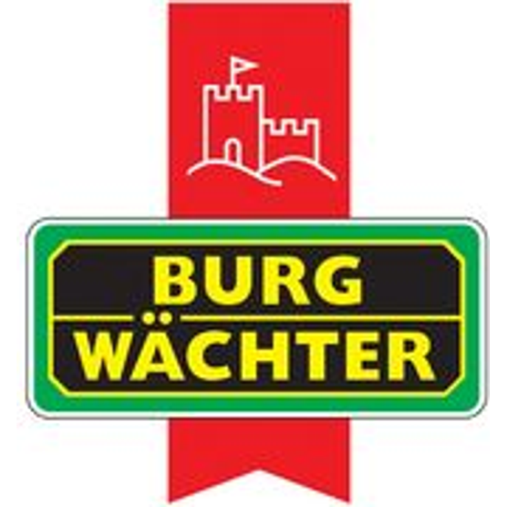 BURG-WÄCHTER Schlüsseltresor mit Zahlenschloss, Key Safe 30 SB, Stahl, Schwarz