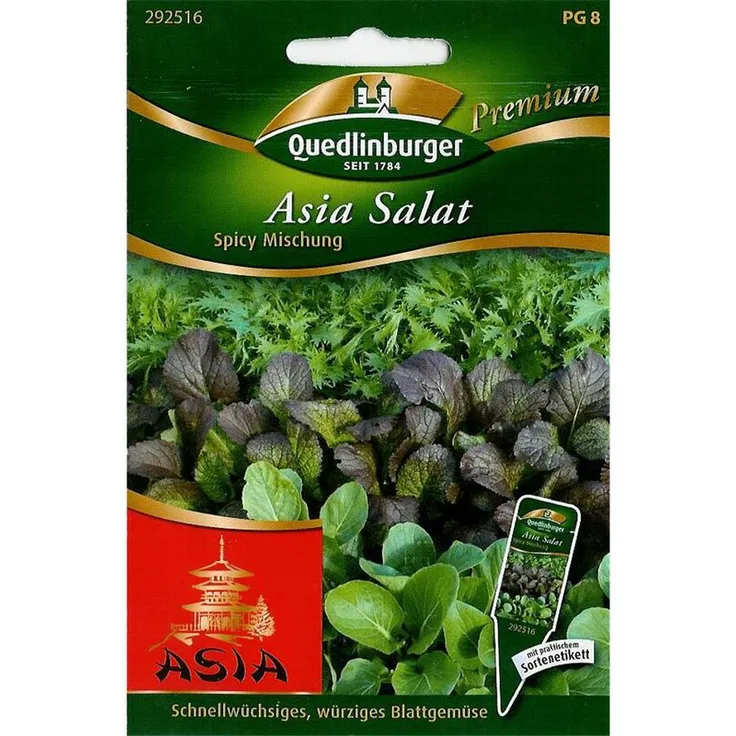 QUEDLINBURGER Asia Salat, Spicy Mischung