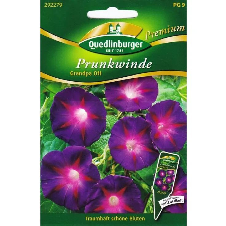 QUEDLINBURGER Prunkwinde, Grandpa Ott