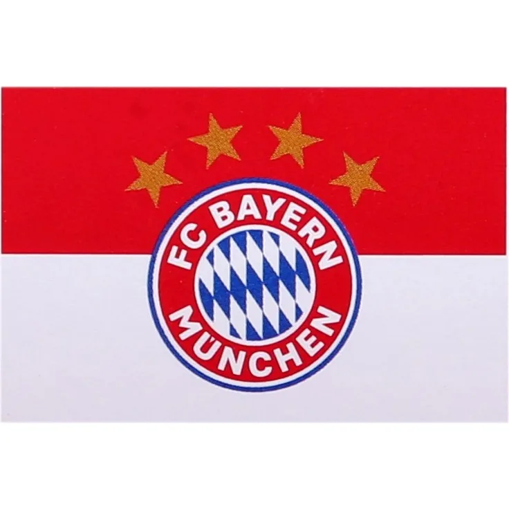FC Bayern München Hissflagge Logo, 250x150cm