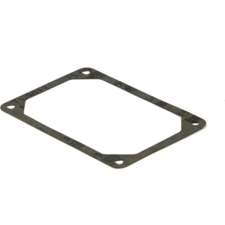 Briggs and Stratton 272475S Dichtung