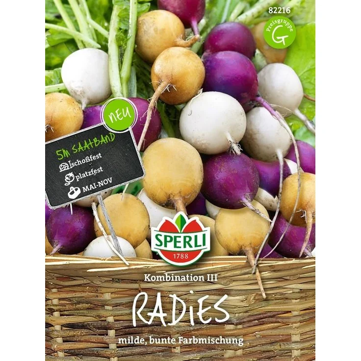 Sperli Radies Kombination III (Zlata, Viola, Albena) Saatband 5 m