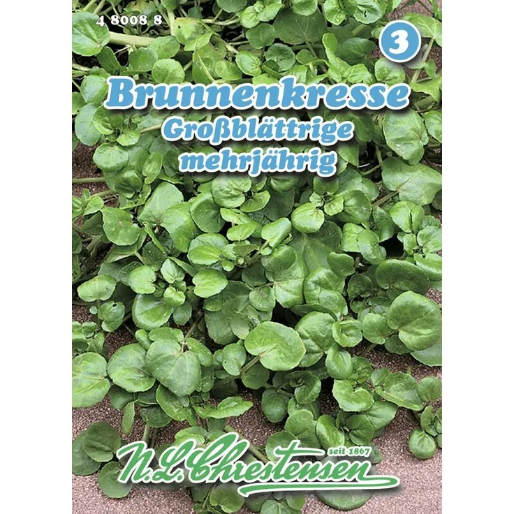 N.L. CHRESTENSEN Brunnenkresse Großblättrige Kressesamen 