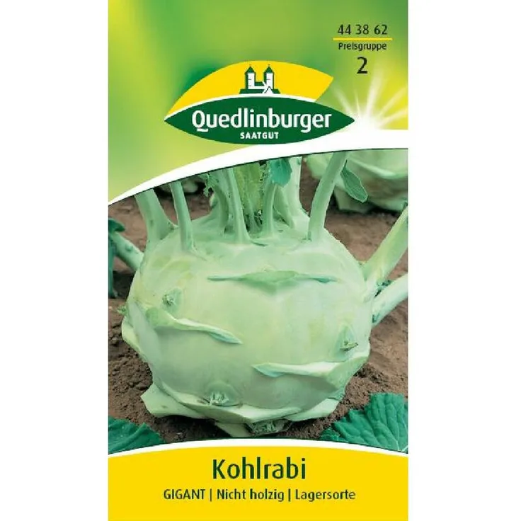 QUEDLINBURGER Kohlrabi, Gigant