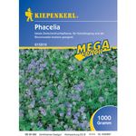 KIEPENKERL Phacelia (1 kg) | Phaceliasamen