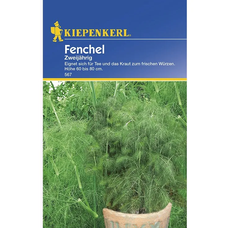 Kiepenkerl Fenchel Fruchtfenchel mehrjährig