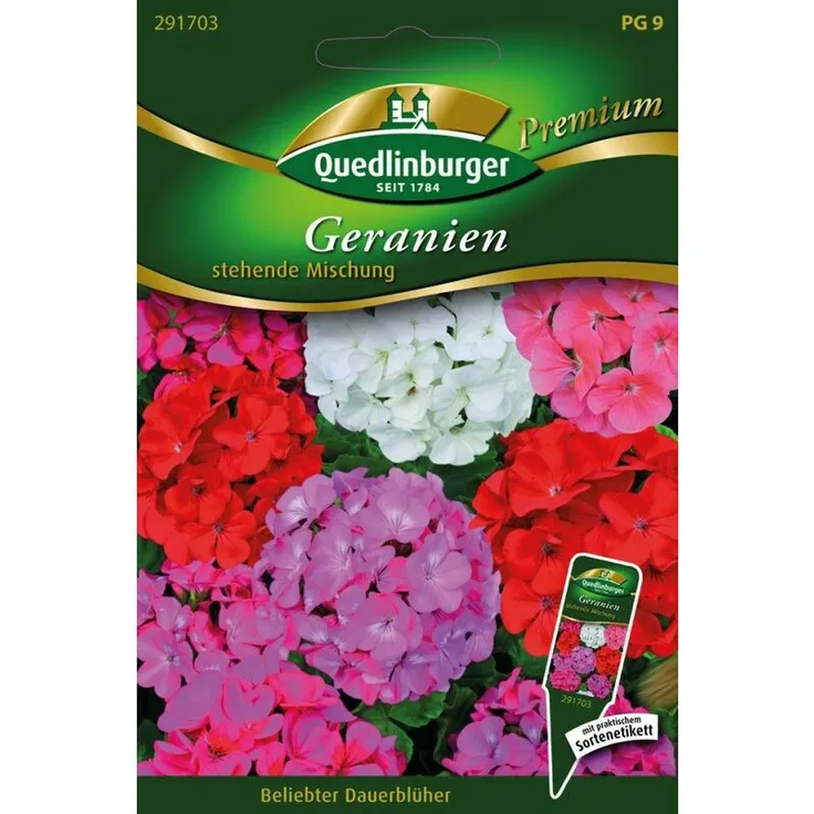 QUEDLINBURGER SAATGUT Quedlinburger Saatgut - Geranien stehende Mischung | Geraniensamen