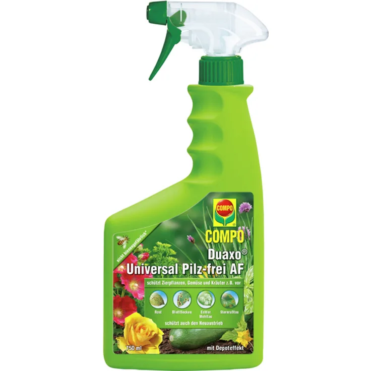 COMPO Duaxo Universal Pilz AF 750ml Bekämpfung von Pilzkrankheiten an Zierpflanzen, Gemüse und Kräutern, Anwendungsfertig