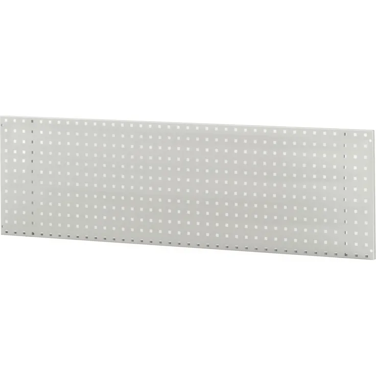 RAU Lochplatte zur Wandmontage BxHxT 1500mm 450mm 15mm