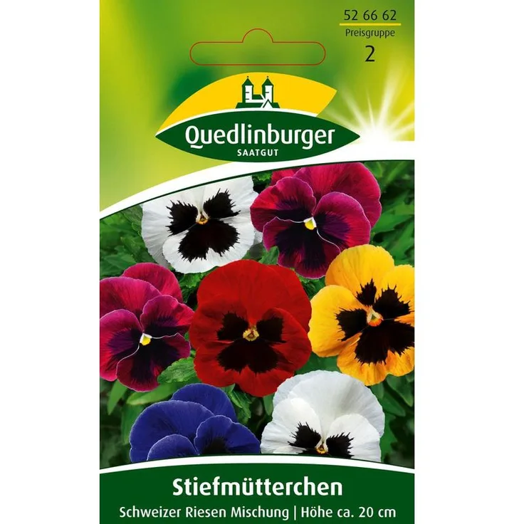 QUEDLINBURGER Stiefmütterchen, Schweizer Riesen Mischung