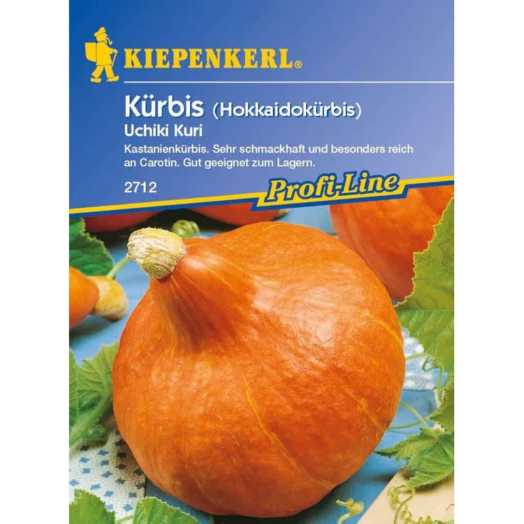 Kiepenkerl Kürbis Uchiki Kuri