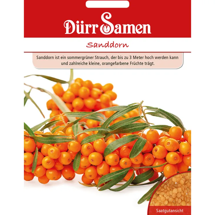 DÜRR-SAMEN Dürr-samen - Sanddorn | Sanddornsamen 