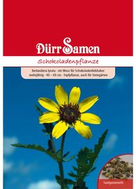 DÜRR-SAMEN Schokoladenpflanze