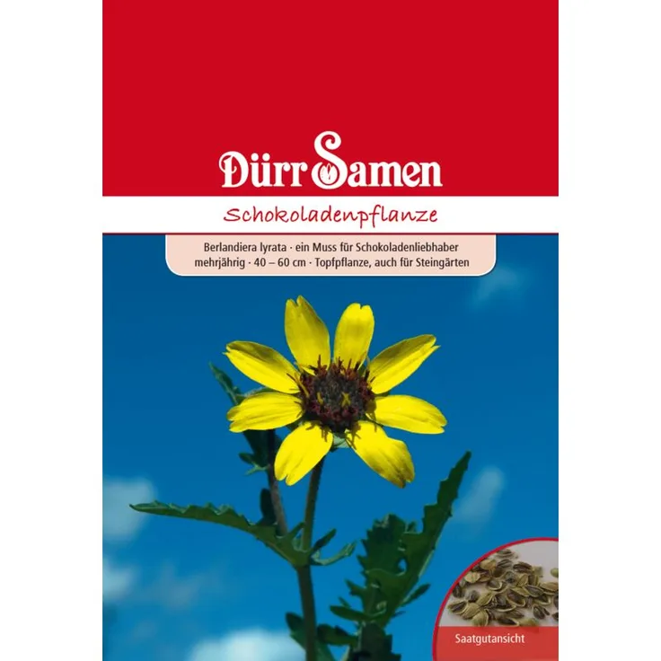 DÜRR-SAMEN Schokoladenpflanze | Schokoladenpflanzensamen 