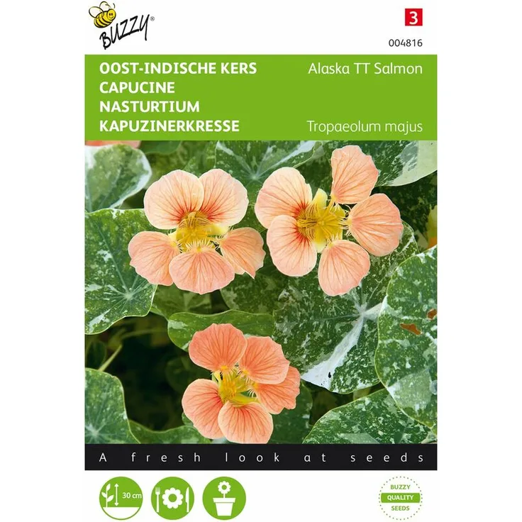 BUZZY SEEDS Kapuzinerkresse Alaska Salmon Kapuzinerkressesamen 