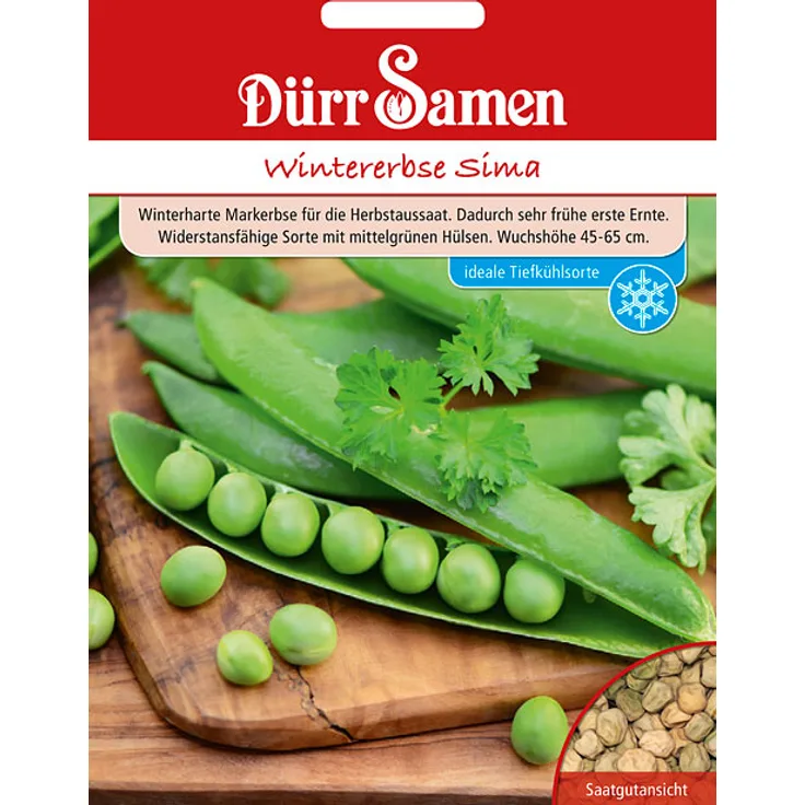 Dürr-Samen Wintererbsen Sima