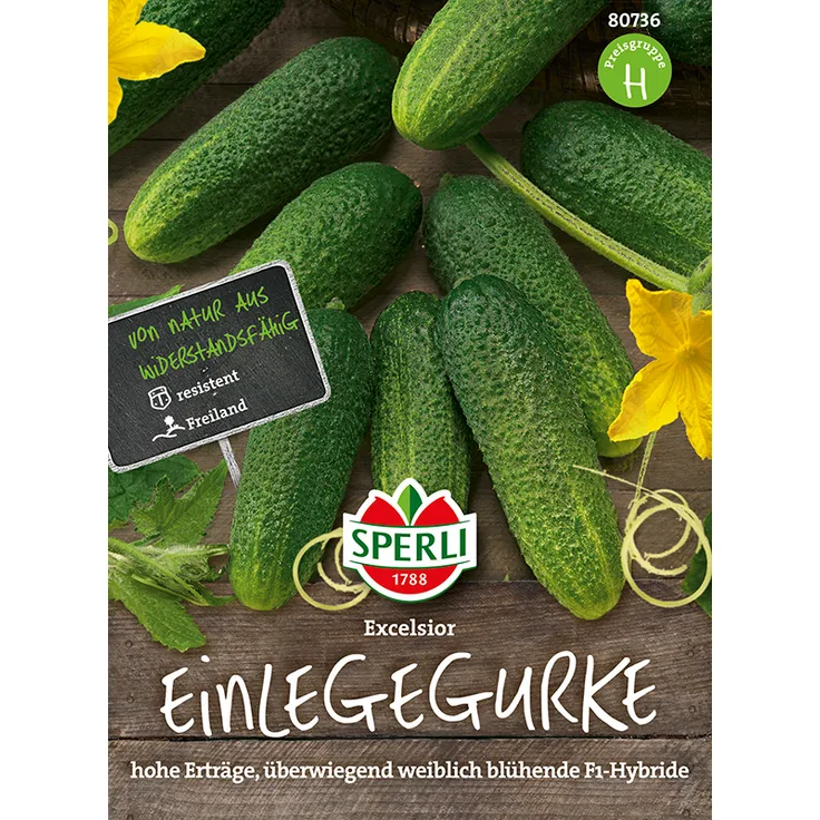 Sperli Gurke Excelsior F1 (verb. für Cubella)