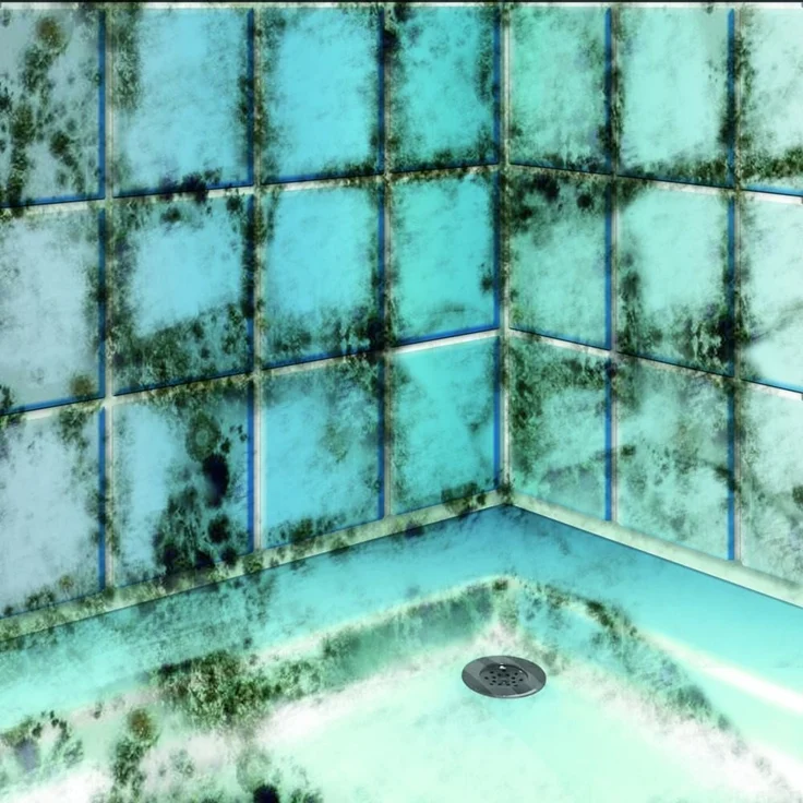 MEM Schimmelentferner chlorhaltig 500 ml – Bild 3