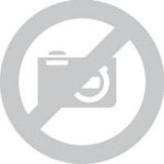 Perel CD Koffer 40 CDs-DVDs Aluminium 1 Stück B x H x T 280 x 160 x 268mm 1823-290