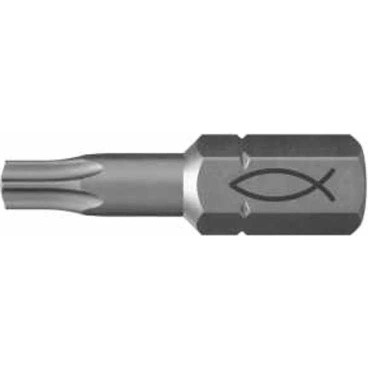 Fischer Profi Bit FPB T 15 (10)