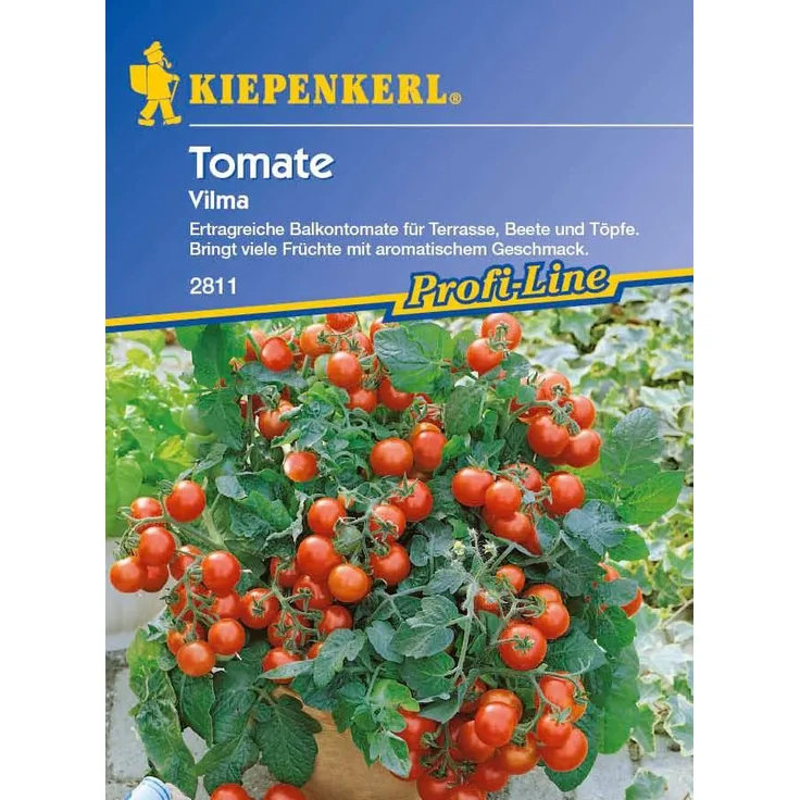 Kiepenkerl Tomaten Balkontomate Vilma rot